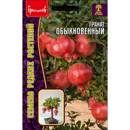 Редкие растения Гранат Обыкновенный 10шт  Редкие растения Гранат Обыкновенный 10шт