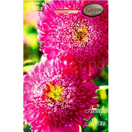 Астра Адель Принцесса Малиновая 20*0,5 Астра Адель Принцесса Малиновая 20*0,5