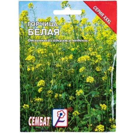 Семена горчицы белой 30г Семена горчицы белой 30г