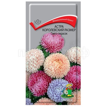 Астра королевский размер Смесь окрасок 0,1г Астра королевский размер Смесь окрасок 0,1г