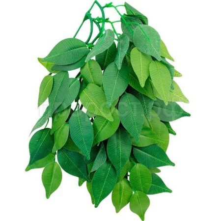 Растение Фикус 002TP 300мм Repti-Zoo/84045013/Триол Растение Фикус 002TP 300мм Repti-Zoo/84045013/Триол