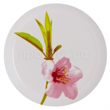 Тарелка суповая 20см УОТЕР КОЛОР  Тарелка суповая 20см УОТЕР КОЛОР