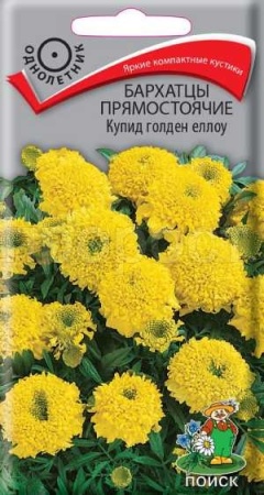 Бархатцы Купид голден еллоу 0,2г Бархатцы Купид голден еллоу 0,2г