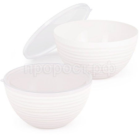 Набор Чаш Оазис (2шт) с крышкой белый (2,5л 4л) М8716 Набор Чаш Оазис (2шт) с крышкой белый (2,5л 4л) М8716