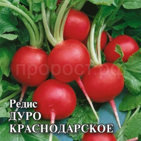 Редис Дуро Краснодарское 25 г Редис Дуро Краснодарское 25 г