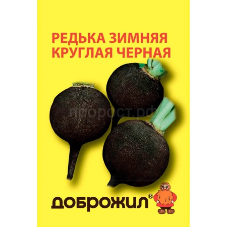 Редька Зимняя круглая черная 3г Редька Зимняя круглая черная 3г