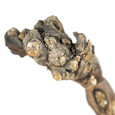 Декор Виноградная коряга для террариума 75-100см Декор Виноградная коряга для террариума 75-100см