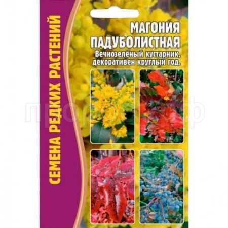 Магония Падуболистная 10 шт Магония Падуболистная 10 шт