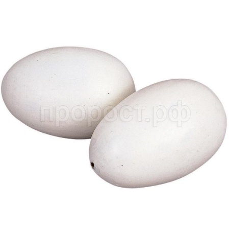 Инструмент Яйцо гусиное муляж 10шт/Китай Инструмент Яйцо гусиное муляж 10шт/Китай