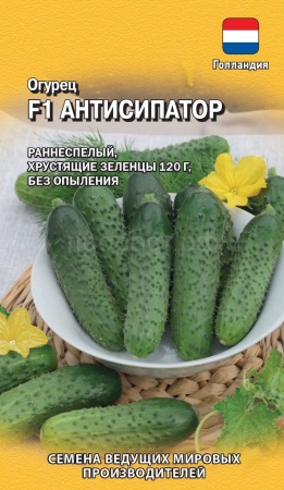 Огурец Антисипатор F1 5шт Огурец Антисипатор F1 5шт