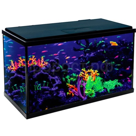 Аквариум Nimbus Dark 56,7л 593*308*366мм черный тонированный/Laguna/73534022 Аквариум Nimbus Dark 56,7л 593*308*366мм черный тонированный/Laguna/73534022