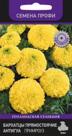 Бархатцы Антигуа Примроуз 15шт Бархатцы Антигуа Примроуз 15шт