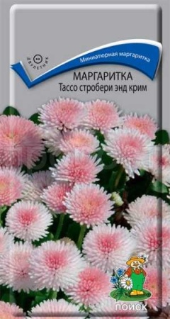 Маргаритка Тассо стробери энд крим 20шт