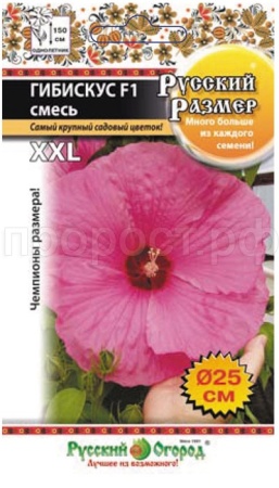 Гибискус Русский размер смесь F1 3шт Гибискус Русский размер смесь F1 3шт
