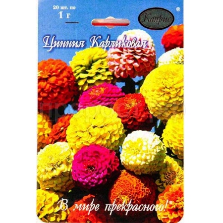 Цинния Малышка Карлик.смесь 20*1  Цинния Малышка Карлик.смесь 20*1