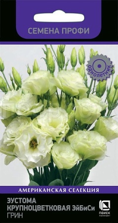 Эустома крупноцветковая ЭйБиСи Грин 10шт  Эустома крупноцветковая ЭйБиСи Грин 10шт